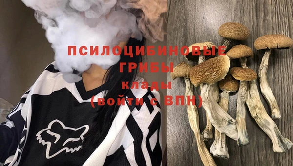 a pvp Белокуриха