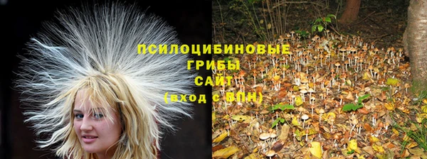 a pvp Белокуриха