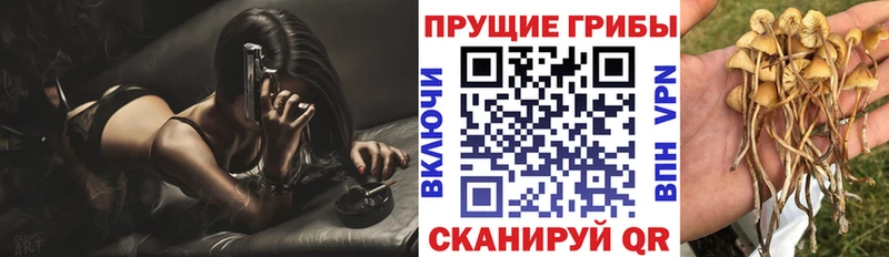 Галлюциногенные грибы MAGIC MUSHROOMS  наркотики  Бородино 