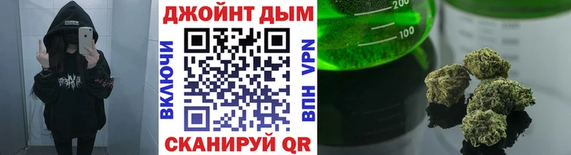 shop какой сайт Бородино МАРИХУАНА ГИДРОПОН что такое kraken как войти